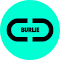 BURLIE - Bynder URL Initiator Extension LOGO 图标