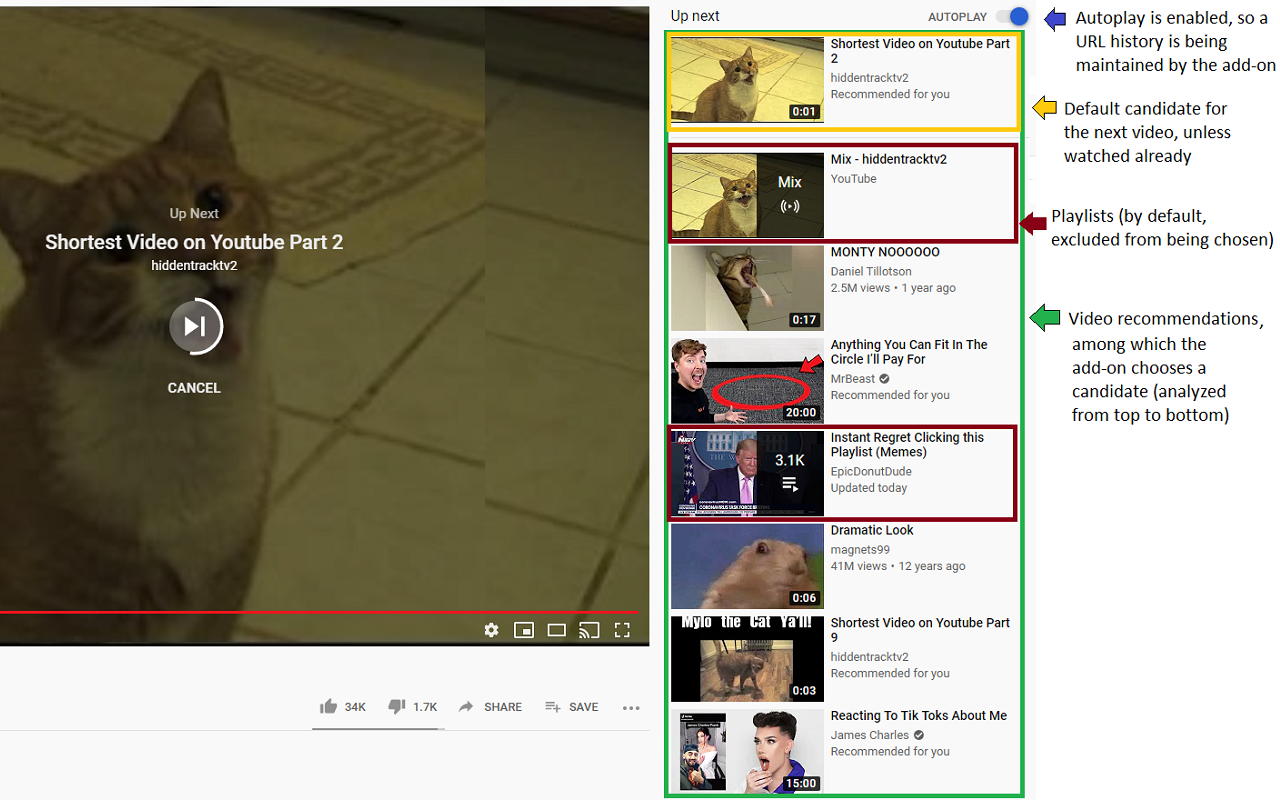 Stop AutoLoop chrome谷歌浏览器插件_扩展第1张截图