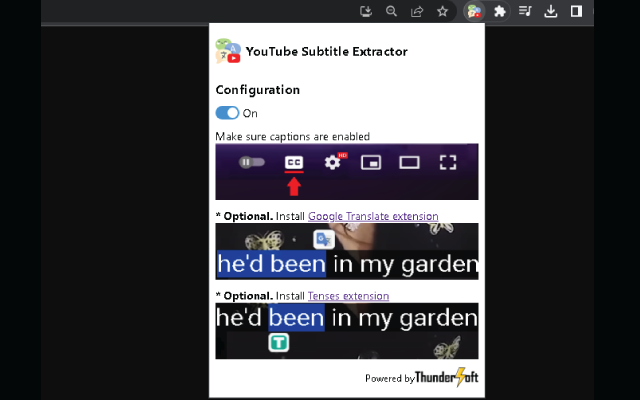 YouTube Subtitle Extractor chrome谷歌浏览器插件_扩展第2张截图