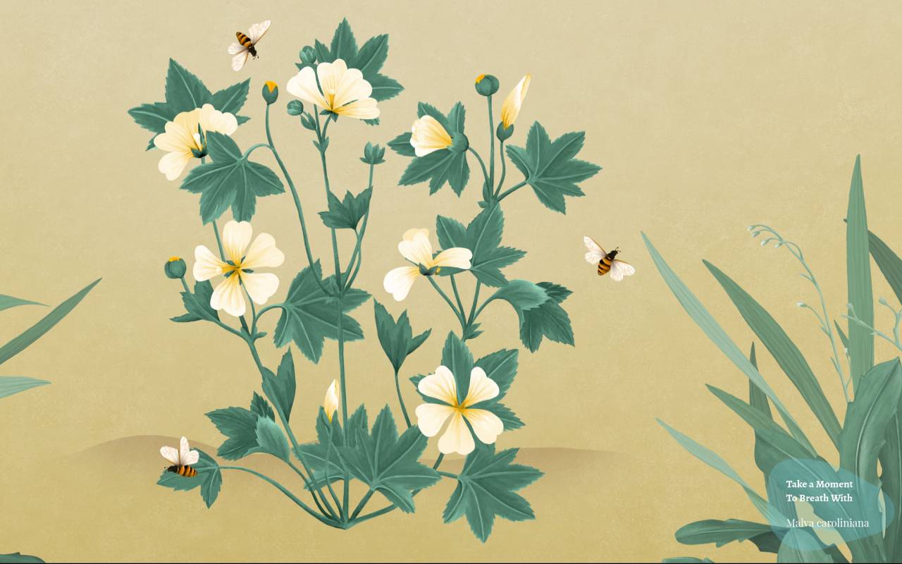 In Rhythm with Nature chrome谷歌浏览器插件_扩展第1张截图