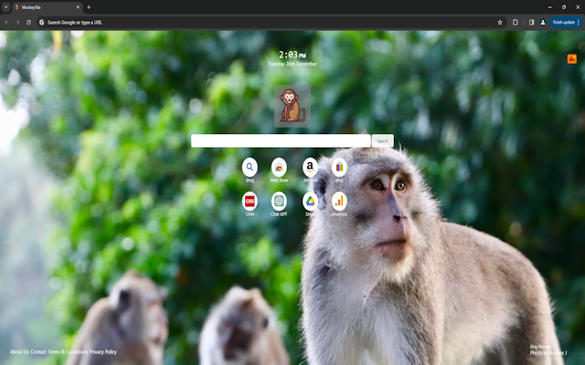 MonkeyTab chrome谷歌浏览器插件_扩展第2张截图