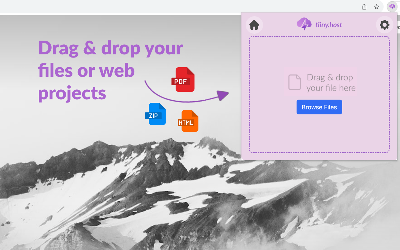 Tiny Host chrome谷歌浏览器插件_扩展第1张截图