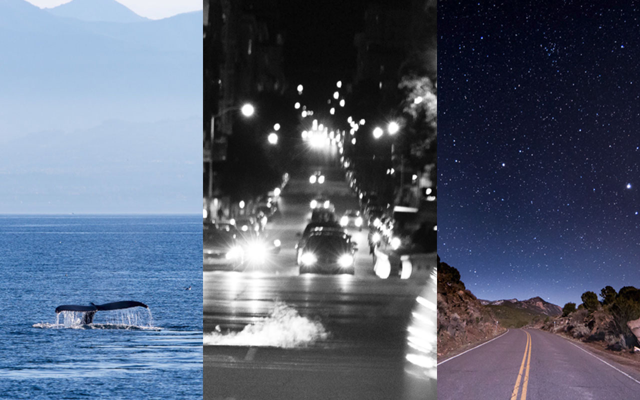 Photo Tab by Joseph Cowdell chrome谷歌浏览器插件_扩展第1张截图