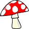 Magic Mushroom Dosage Calculator