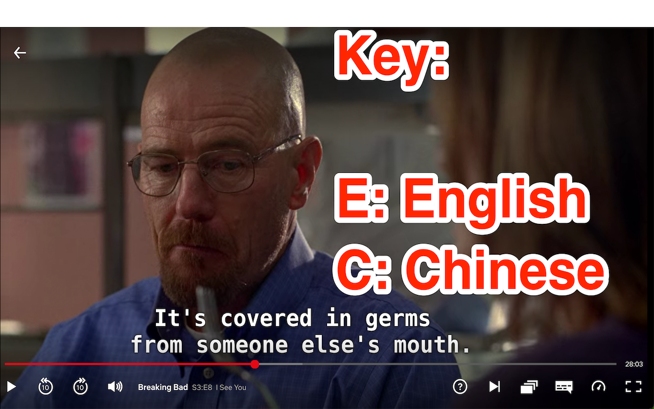 Netflix Shortcuts for English/Chinese Caption chrome谷歌浏览器插件_扩展第1张截图