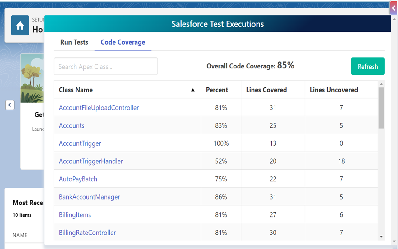 Salesforce Test Executions chrome谷歌浏览器插件_扩展第3张截图