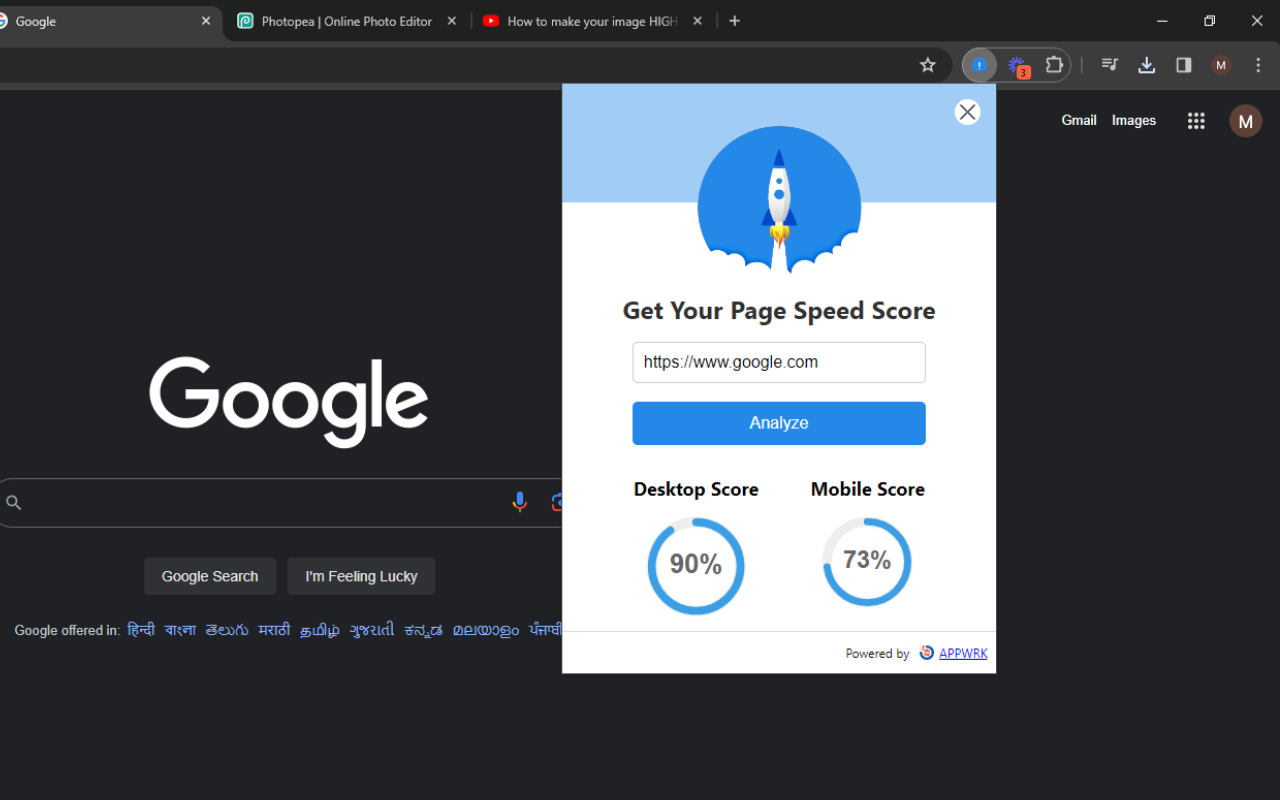 Google Pagespeed Insights chrome谷歌浏览器插件_扩展第3张截图