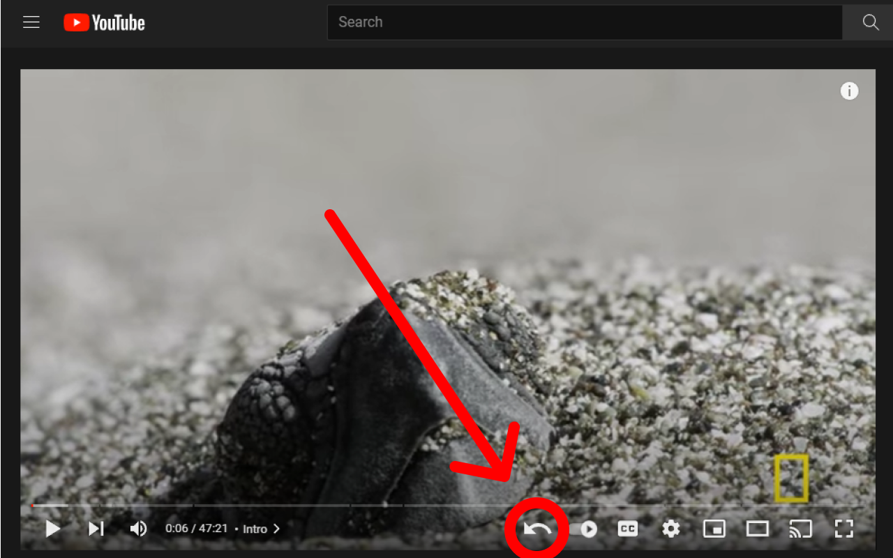 Youtube Undo chrome谷歌浏览器插件_扩展第2张截图