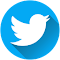 Twitter Video Downloader