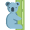 Cute Koalas