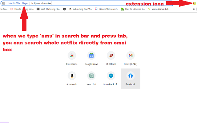 Netflix Web Player chrome谷歌浏览器插件_扩展第1张截图