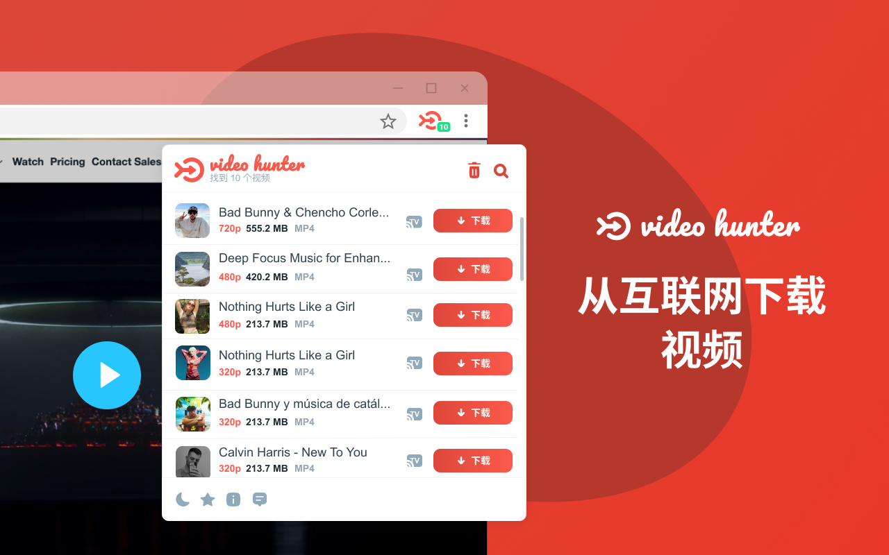 Video Hunter Downloader – 视频下载器 chrome谷歌浏览器插件_扩展第6张截图