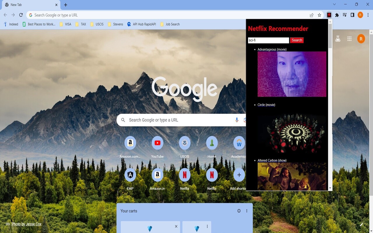 Netflix Recommender chrome谷歌浏览器插件_扩展第3张截图