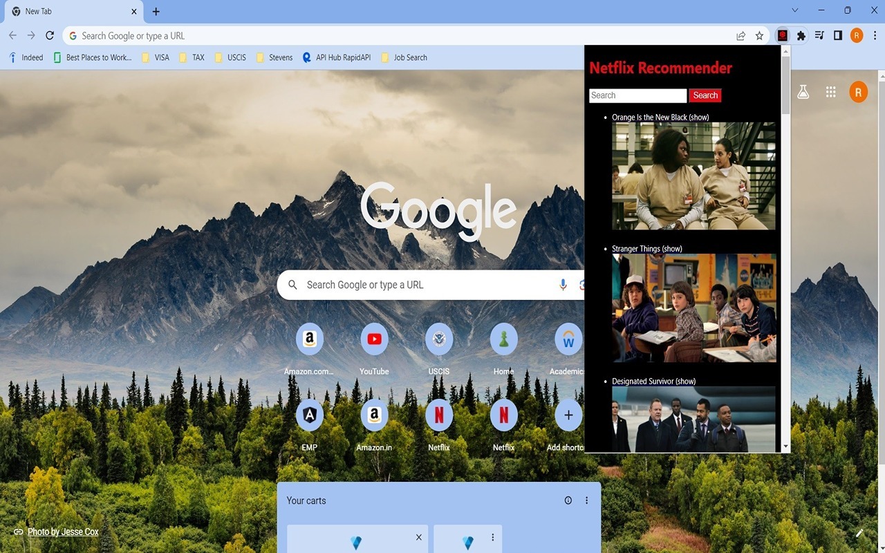 Netflix Recommender chrome谷歌浏览器插件_扩展第4张截图