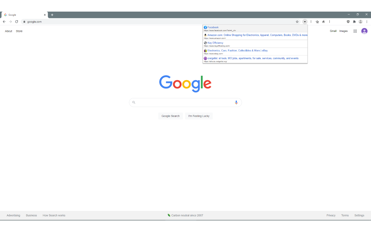 Typed URLs chrome谷歌浏览器插件_扩展第1张截图
