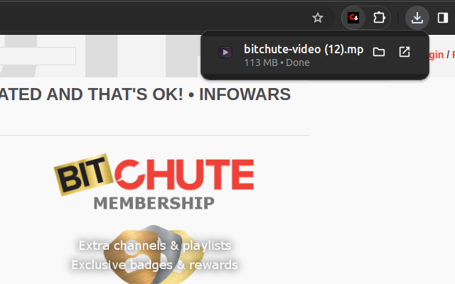 BitchuteVideoDownloader chrome谷歌浏览器插件_扩展第5张截图