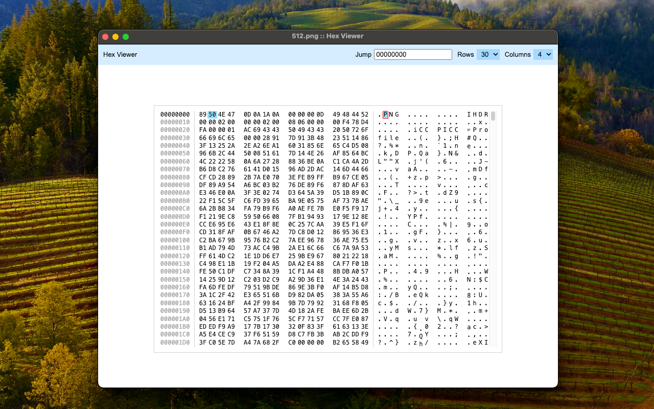 HexDump - Hex Viewer chrome谷歌浏览器插件_扩展第1张截图