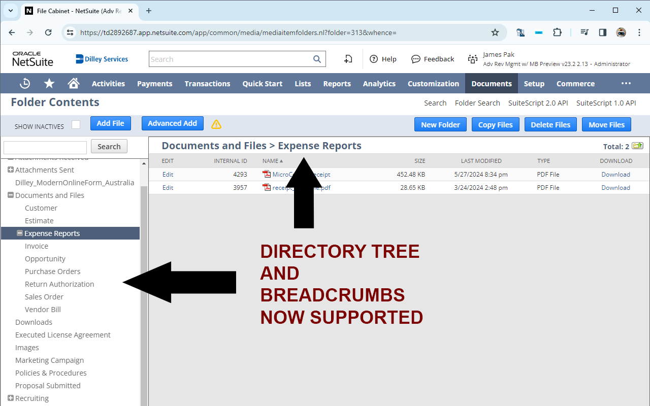 NetSuite File Cabinet Permalink chrome谷歌浏览器插件_扩展第3张截图