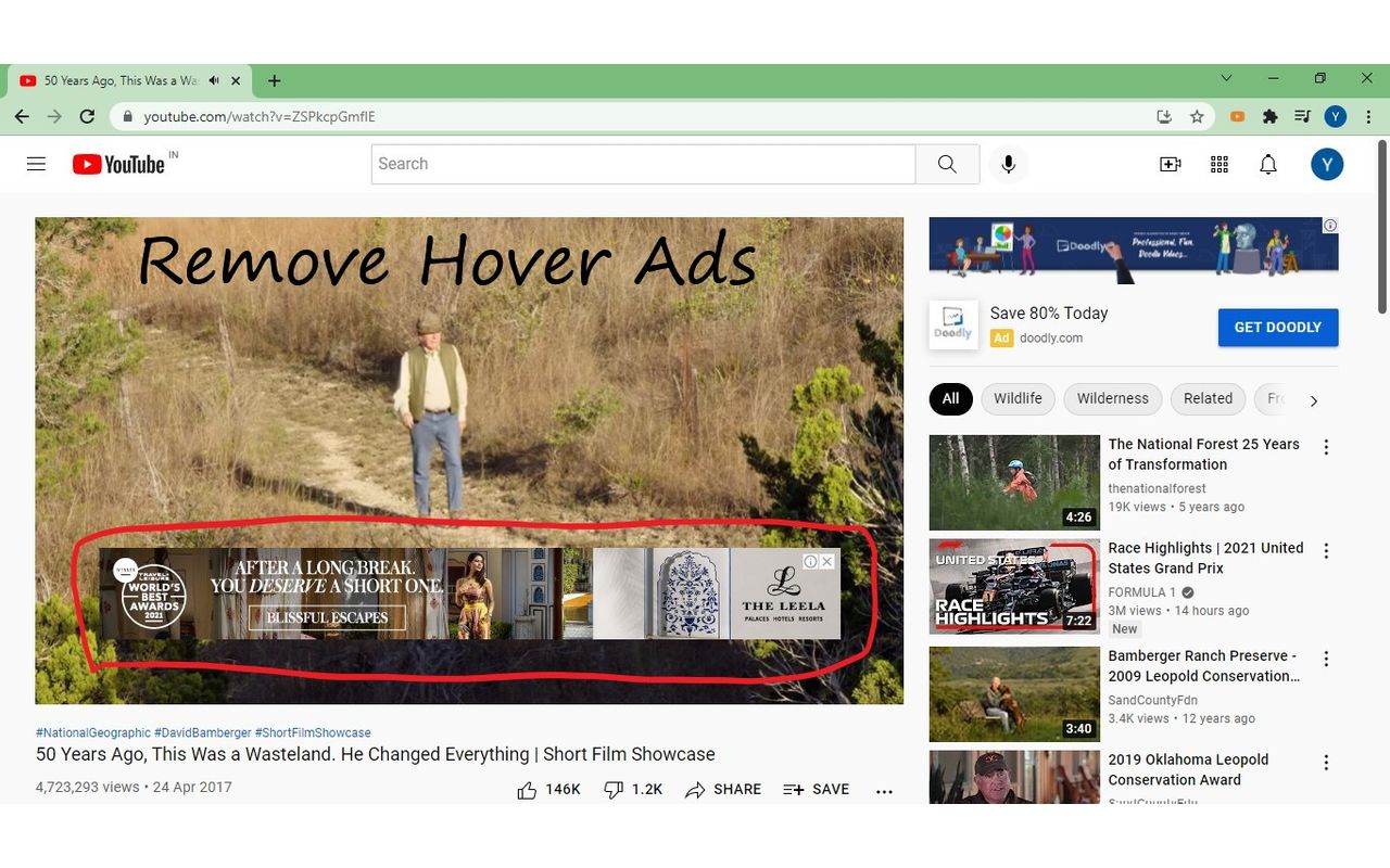 Improve feed and Remove Ads - Youtube chrome谷歌浏览器插件_扩展第3张截图