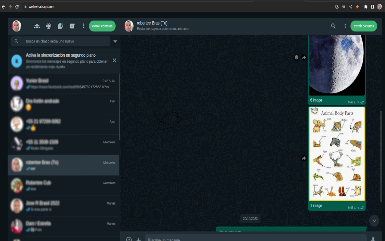 SocialHub WhatsApp Extrator de Grupos chrome谷歌浏览器插件_扩展第1张截图