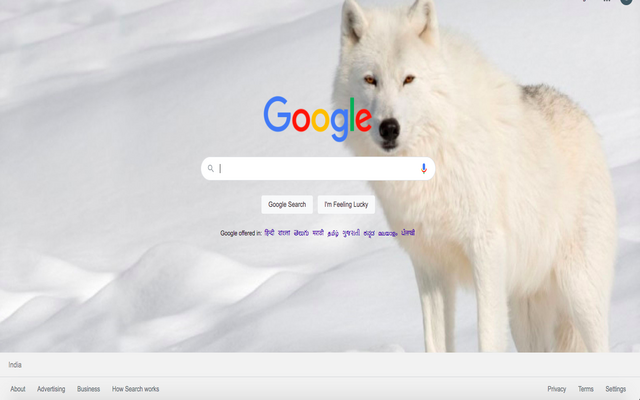 MyBG - Google Background chrome谷歌浏览器插件_扩展第3张截图