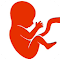 BitLife