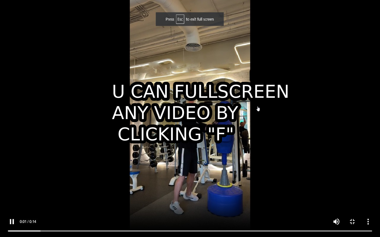 TikTok Fullscreen chrome谷歌浏览器插件_扩展第1张截图