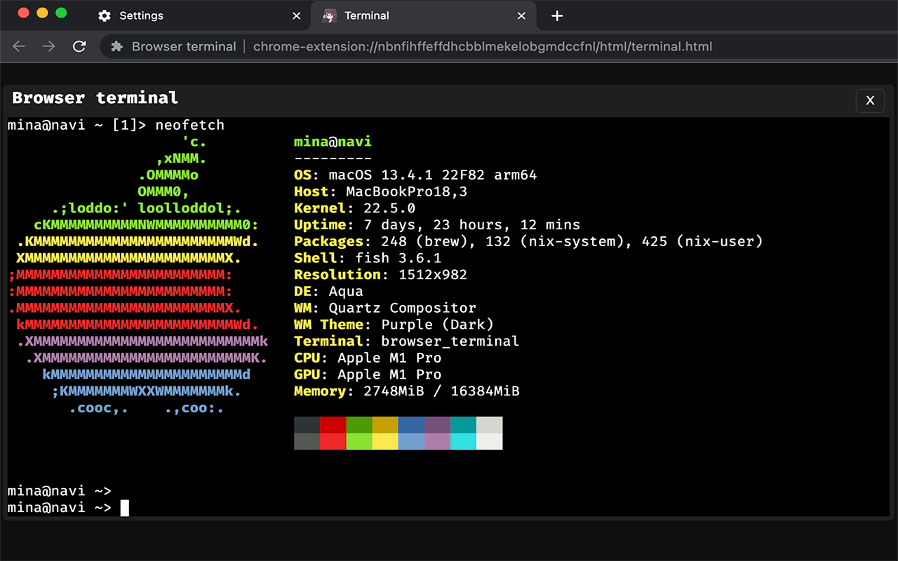 Browser terminal chrome谷歌浏览器插件_扩展第1张截图