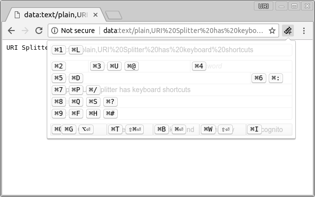 URI Splitter chrome谷歌浏览器插件_扩展第2张截图