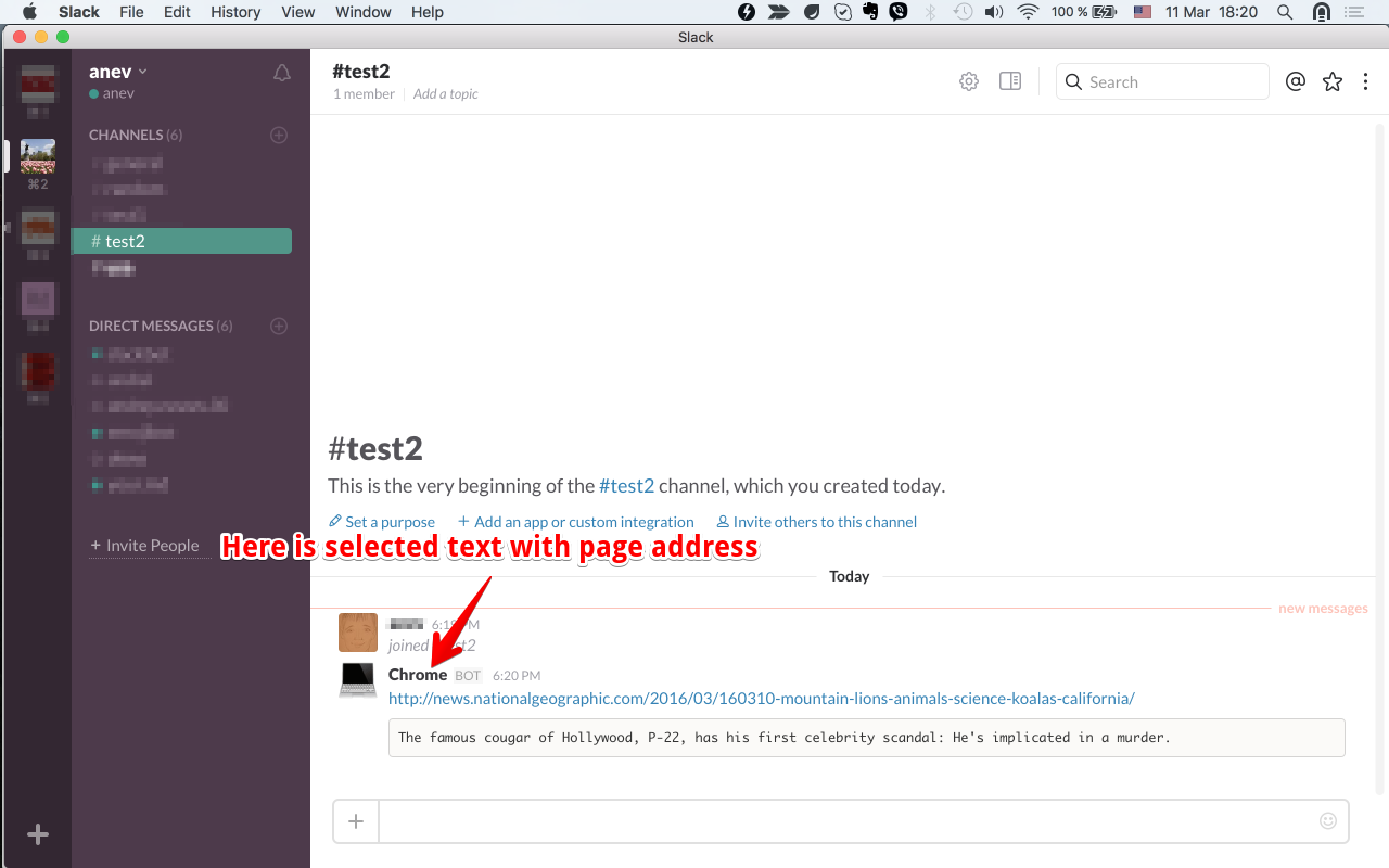 Send to Slack chrome谷歌浏览器插件_扩展第2张截图