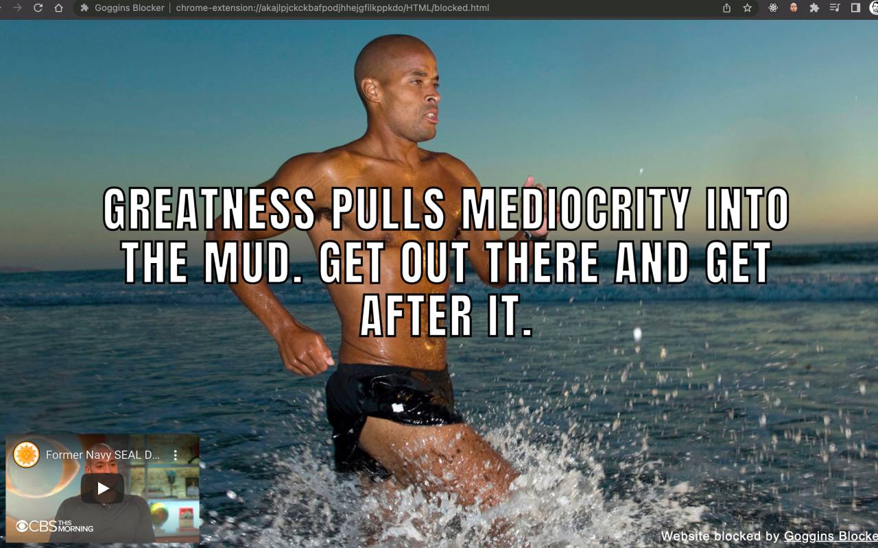 Goggins Blocker chrome谷歌浏览器插件_扩展第3张截图