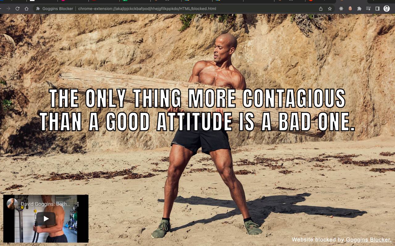 Goggins Blocker chrome谷歌浏览器插件_扩展第4张截图