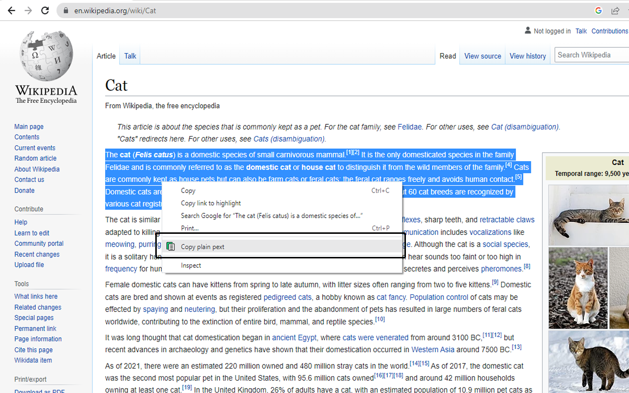 Allow Copy Plain Text chrome谷歌浏览器插件_扩展第1张截图