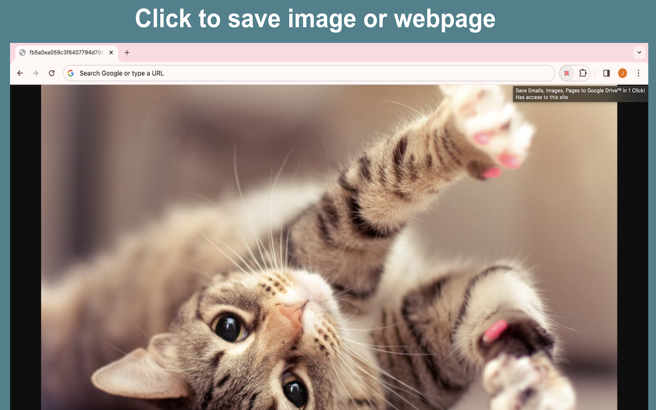 Save To Drive chrome谷歌浏览器插件_扩展第1张截图