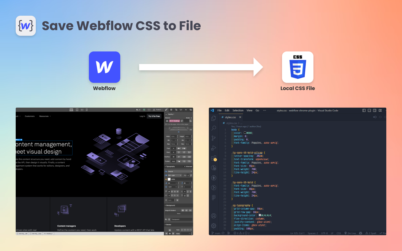 Save Webflow CSS to File chrome谷歌浏览器插件_扩展第1张截图