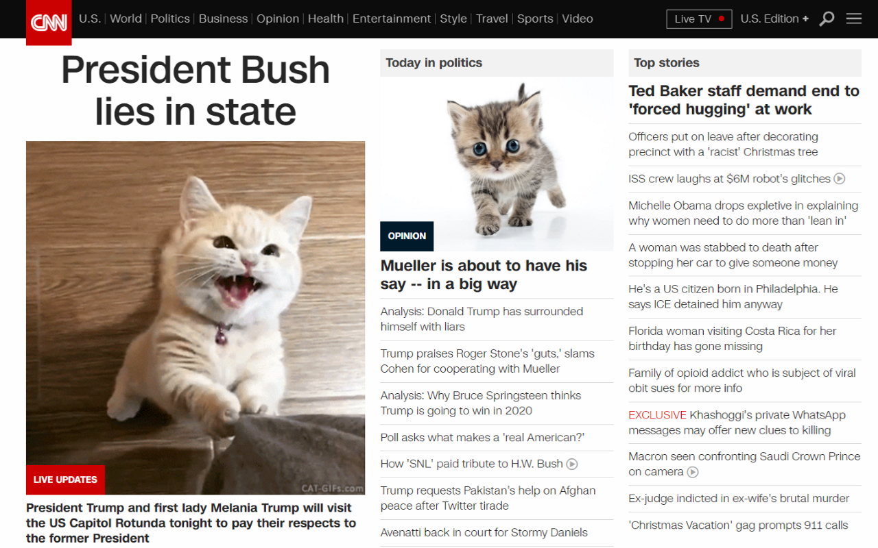 Kitten Around! chrome谷歌浏览器插件_扩展第2张截图