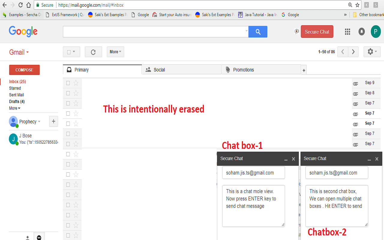 Secure Google Chat chrome谷歌浏览器插件_扩展第1张截图