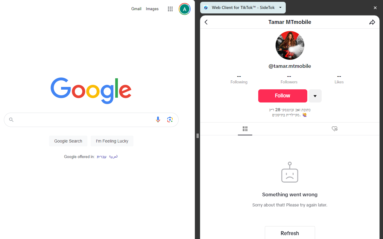 sidetok chrome谷歌浏览器插件_扩展第1张截图