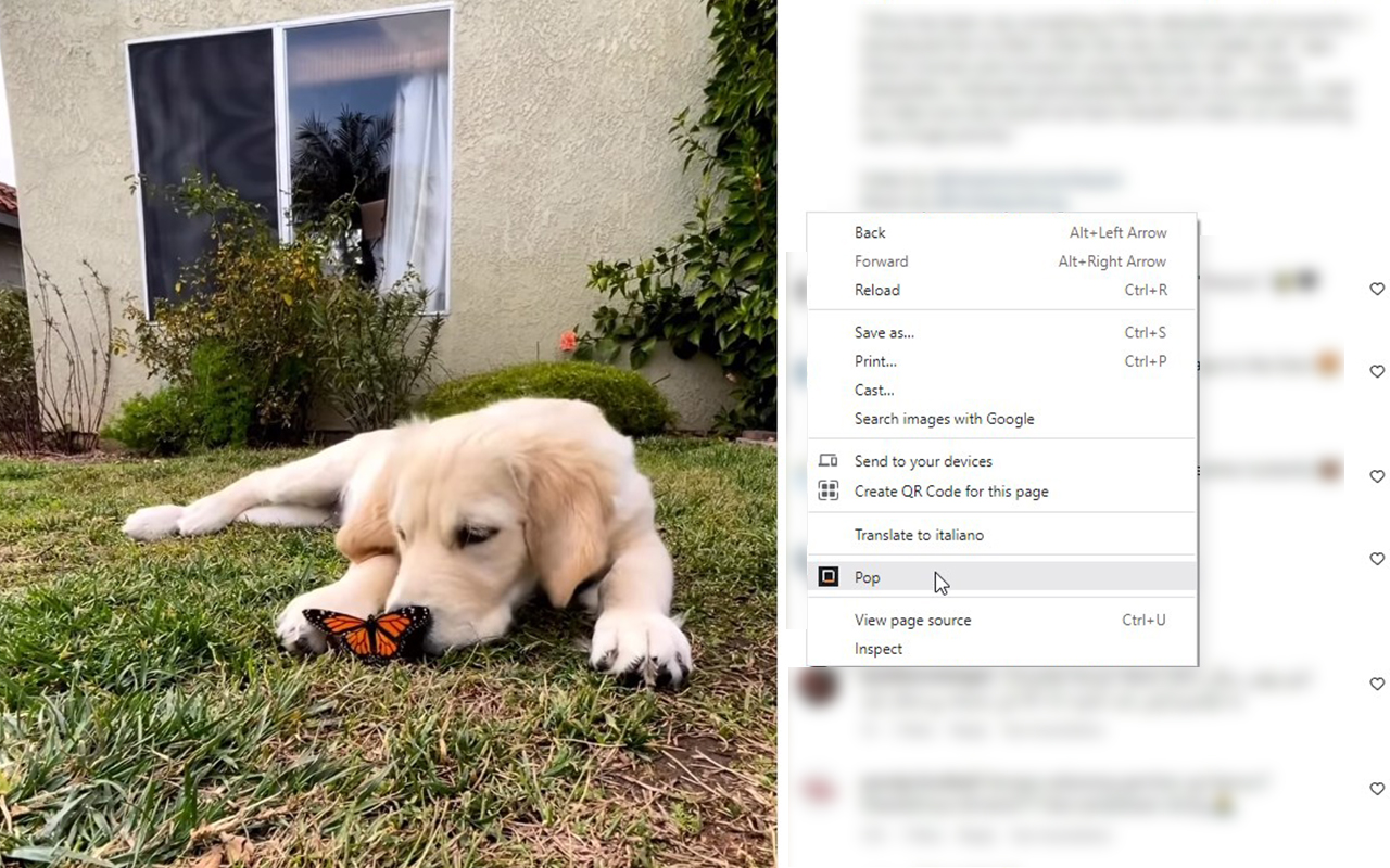 MediaPop chrome谷歌浏览器插件_扩展第1张截图