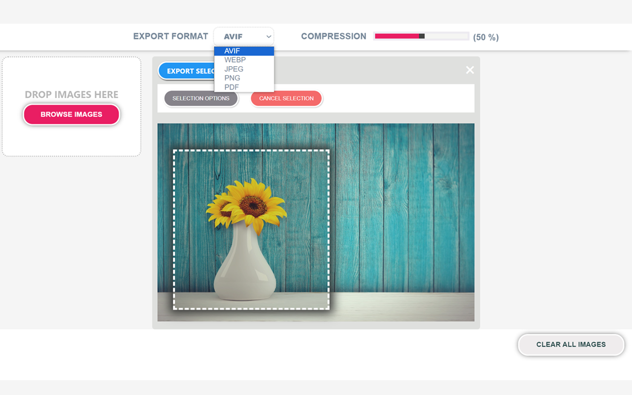 Any Image Converter chrome谷歌浏览器插件_扩展第4张截图
