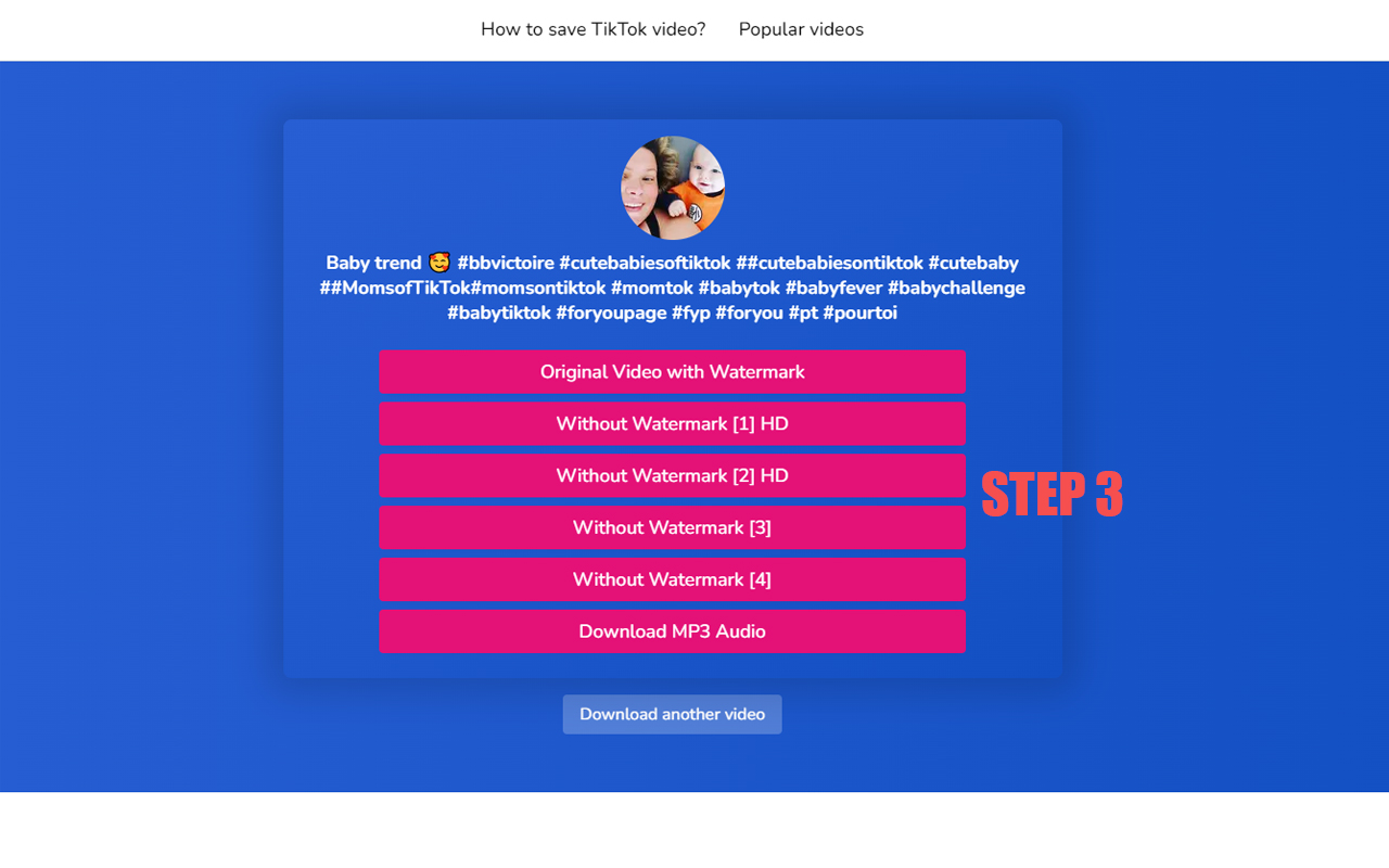 Tiktaklab - TikTok Video Downloader chrome谷歌浏览器插件_扩展第2张截图