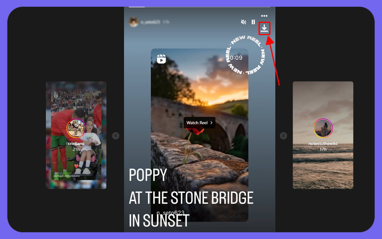 StorySaver - Story Downloader chrome谷歌浏览器插件_扩展第1张截图