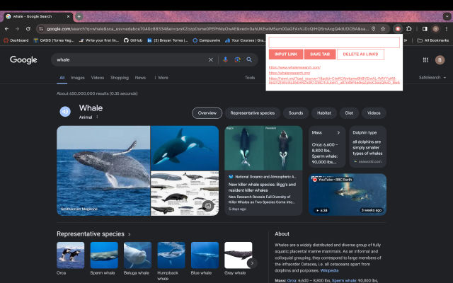 Study tracker chrome谷歌浏览器插件_扩展第1张截图