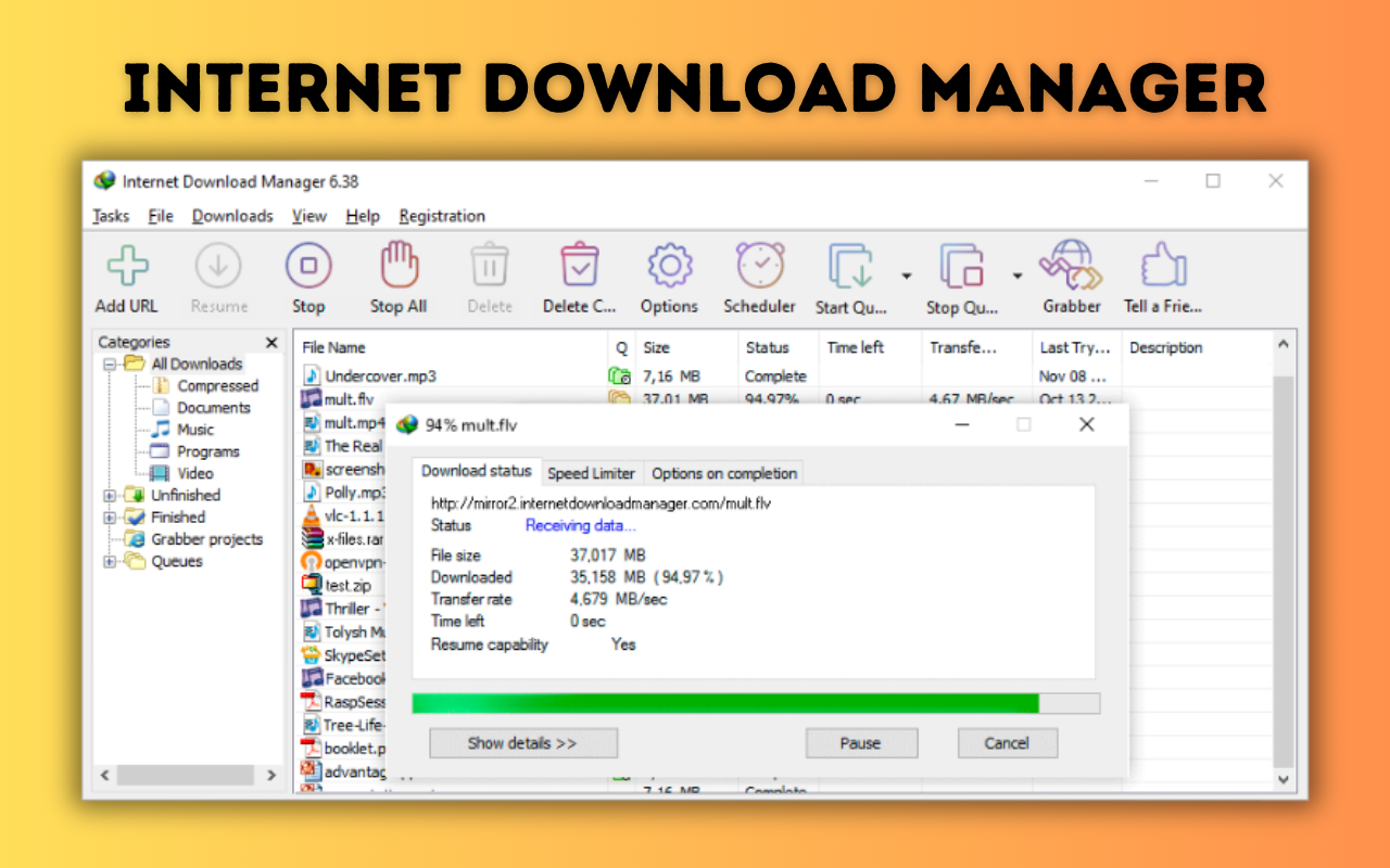 IDM Integration Module for Chrome chrome谷歌浏览器插件_扩展第1张截图