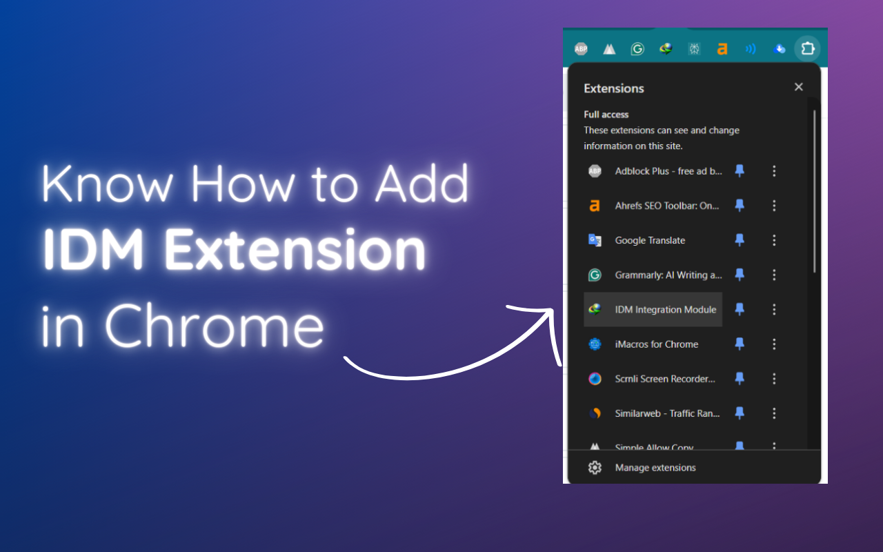 IDM Integration Module for Chrome chrome谷歌浏览器插件_扩展第2张截图