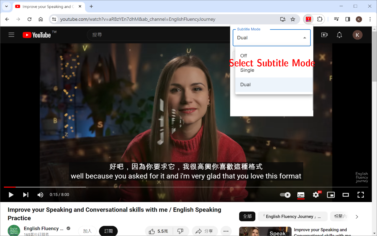 YouTube Double Subtitle chrome谷歌浏览器插件_扩展第1张截图