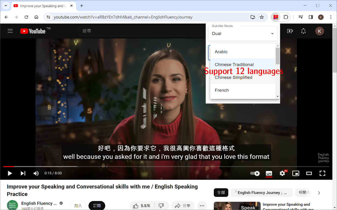 YouTube Double Subtitle chrome谷歌浏览器插件_扩展第2张截图