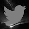 Twitter[Theme Engine]