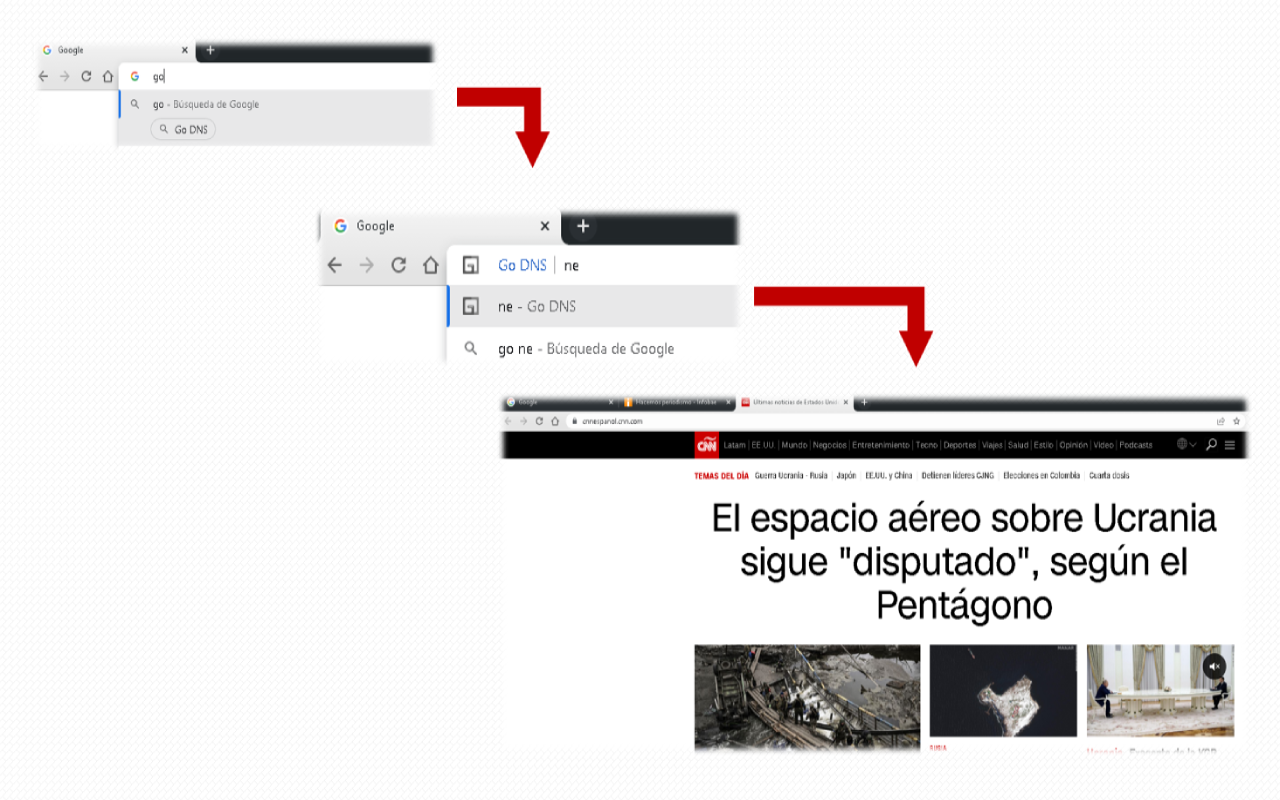 Go DNS chrome谷歌浏览器插件_扩展第1张截图