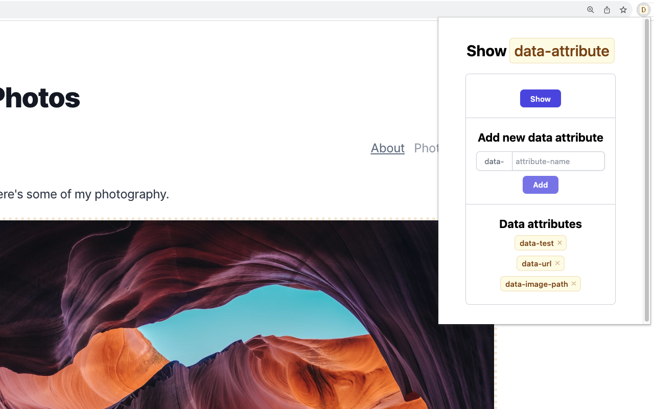 Show Data Attributes chrome谷歌浏览器插件_扩展第3张截图
